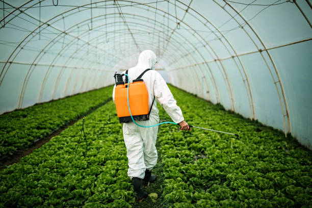 Best Pest Removal Services  in Perryville, AR