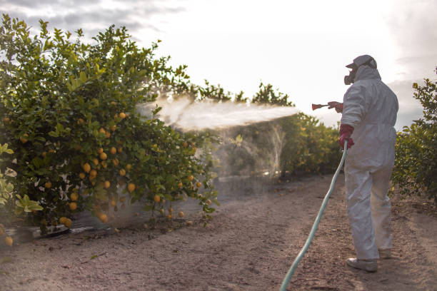 Best Best Pest Control Near Me  in Perryville, AR